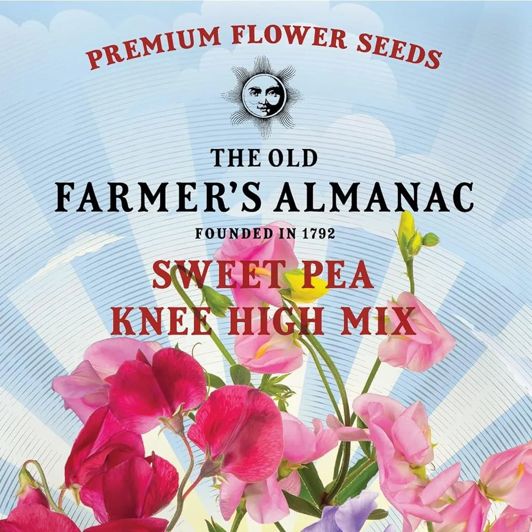 The Old Farmer's Almanac Sweet Pea Seeds (knæhøj blanding) - Ca. 10 blomsterfrø - Premium Non-Gmo åbenbestøvet USA-oprindelse' loading='lazy' title=