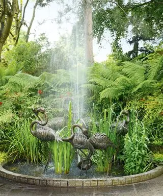 Jardín tropical con fuente de agua y helechos.