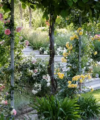 Ideas de jardines verticales con rosas trepadoras