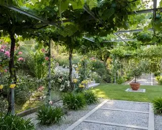 Ideas de jardín de invierno - pérgola