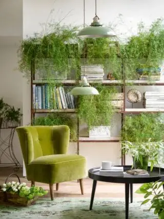 Plantas de interior: escala en el diseño de interiores