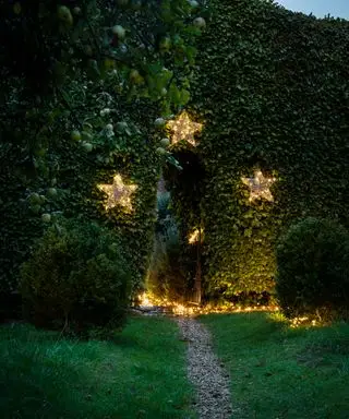 An einer Hecke befestigte sternförmige Solarleuchten