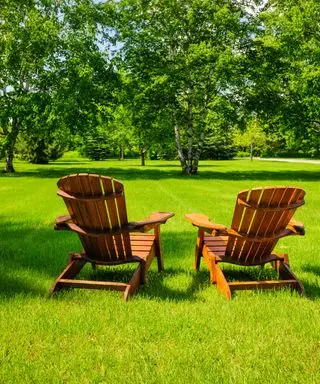dvě židle Adirondck na zeleném trávníku se stromy v dálce