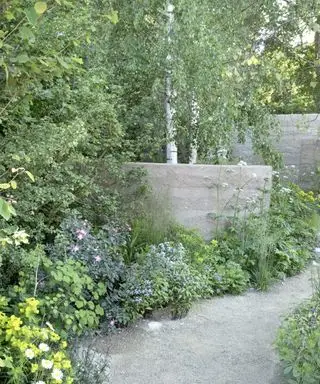 Paisagismo com arbustos – 10 maneiras de trazer essas maravilhosas plantas lenhosas para o seu terreno