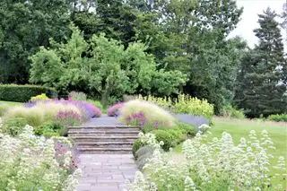 Un ejemplo de cómo diseñar un patio trasero que muestra un camino de piedra con escalones rodeados de flores de color púrpura y pastos ornamentales.