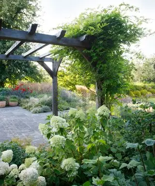 terraza jardín con pérgola y hortensias plantadas
