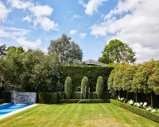 Un césped junto a una piscina y rodeado de setos, árboles y parterres.