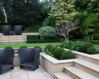 pequeño patio trasero con cambio de niveles, áreas de patio pavimentadas y escalones rodeados de plantas de hoja perenne