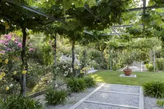 Un camino de grava debajo de una pérgola de madera cubierta de plantas y flores.