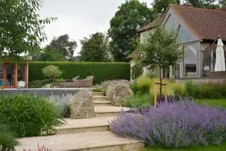 Un ejemplo de cómo diseñar un patio trasero que muestre lavanda a ambos lados de los escalones pavimentados.
