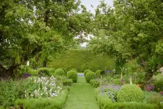 Un ejemplo de cómo diseñar un patio trasero que muestra un sendero de césped rodeado de macizos de flores y árboles.