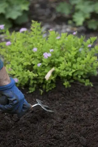 Monty Don sobre el acolchado