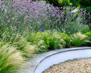 Ideas de bordes de jardín de bajo mantenimiento con césped ornamental y verbena en canteros elevados de piedra.
