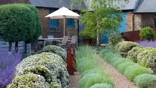 cómo crear un jardín mediterráneo con lavanda, hierbas y grava