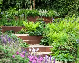 ideas de bordes de jardín de bajo mantenimiento utilizando bordes de acero corten
