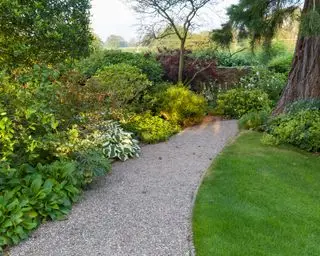 Plantas que aman la sombra en un borde que incluye hostas.