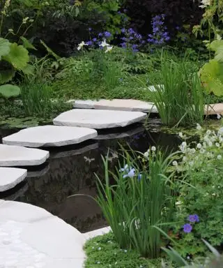 estanque natural con bonitas plantas y un sendero de piedra que cruza