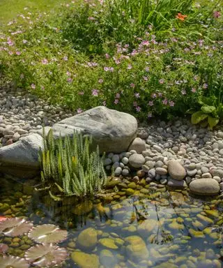 pequeño estanque natural ajardinado con guijarros y plantas