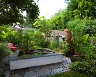 Estanque cuadrado elevado en un pequeño jardín urbano.