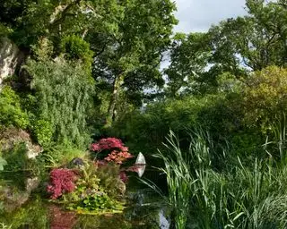 gran estanque natural ajardinado con árboles y plantas