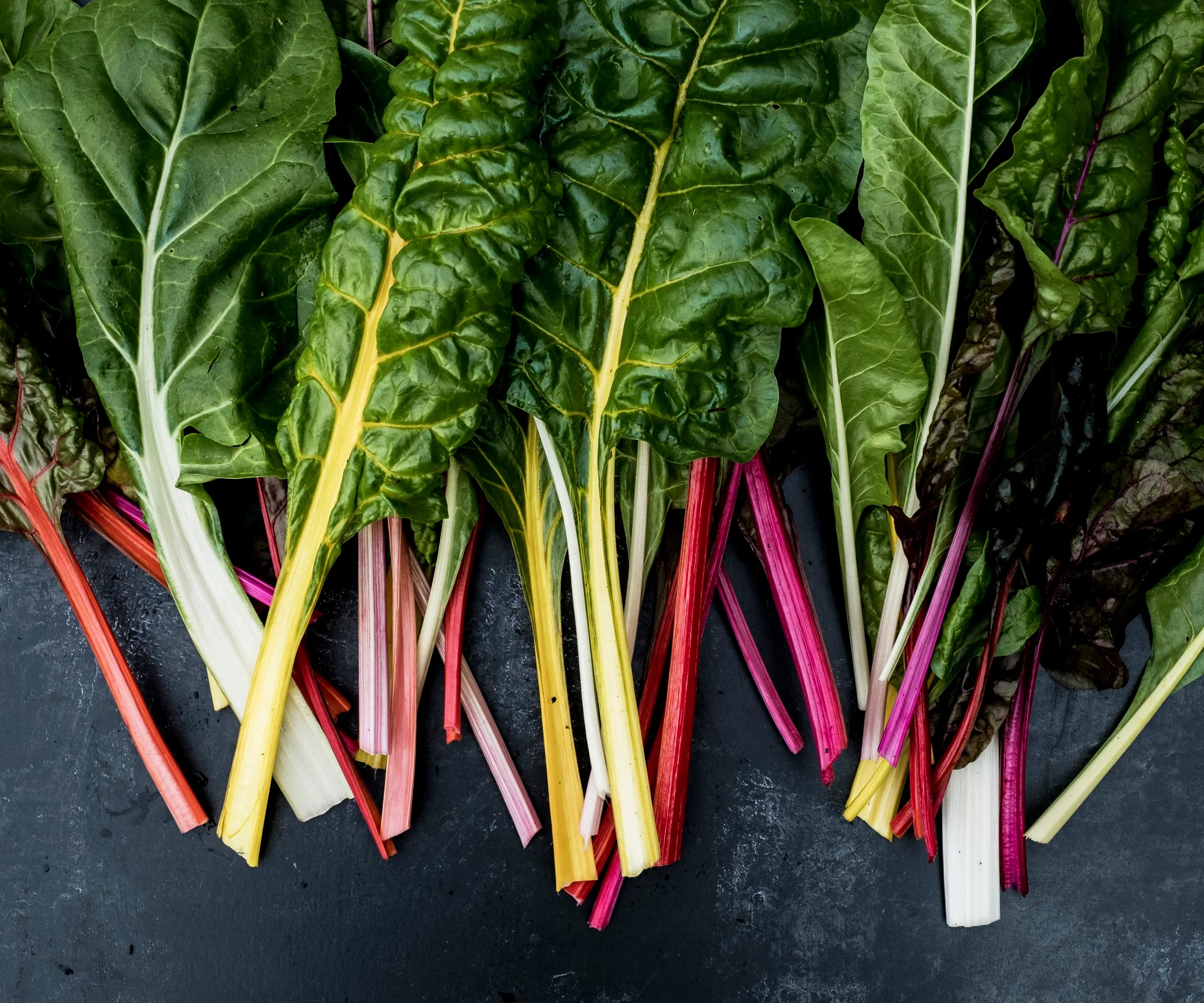 Une gamme de feuilles de blettes colorées' loading='lazy' title=