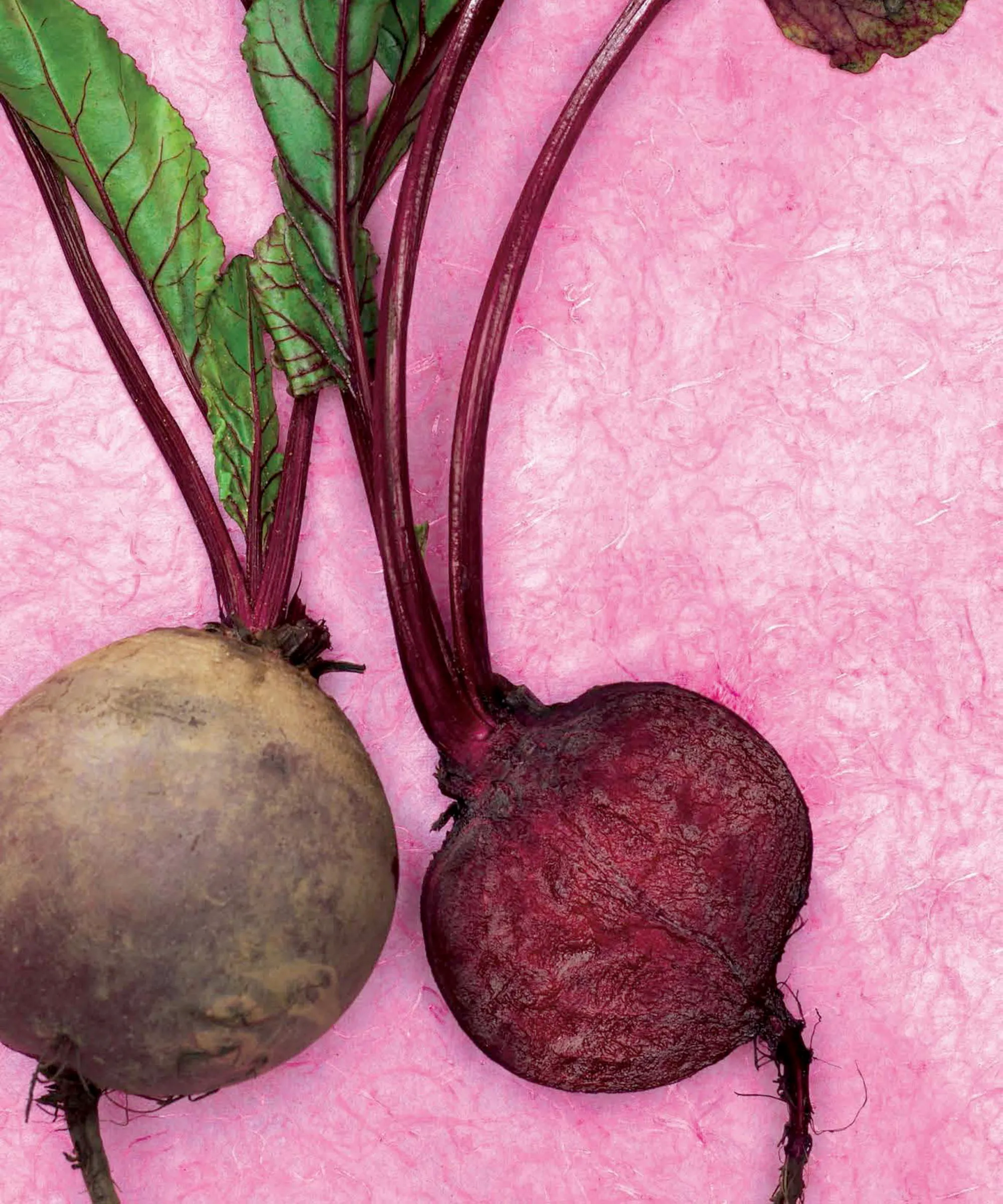 Une betterave hachée sur fond rose' loading='lazy' title=