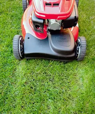 plæneklipper på en græsplæne