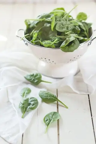 Cómo cultivar hojas cosechadas de espinacas.