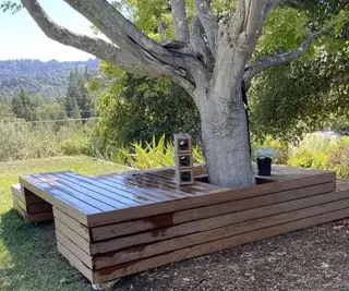 aire de jeux sur plateforme sur mesure sous un grand arbre