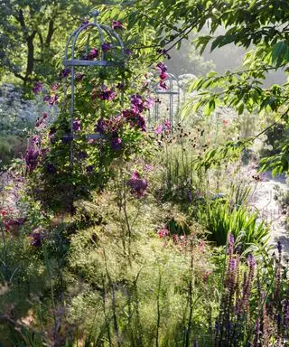 Sensoriske hageideer med duftende blomster