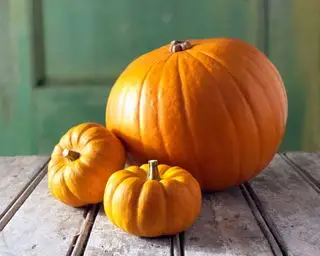 Citrouilles entières fraîches dans une maison