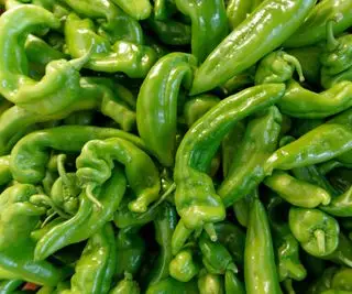 Anaheim chilipepper