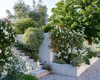 Blomsterbedsideer med sansehage i høybed