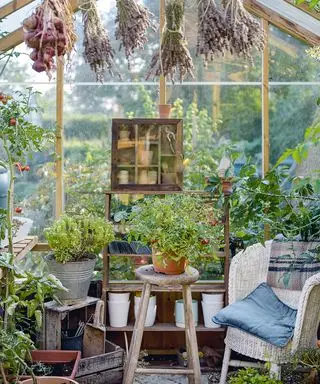 L'intérieur d'une serre rustique
