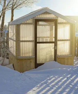 La lumière du soleil brille à travers une serre glaciale d’arrière-cour.