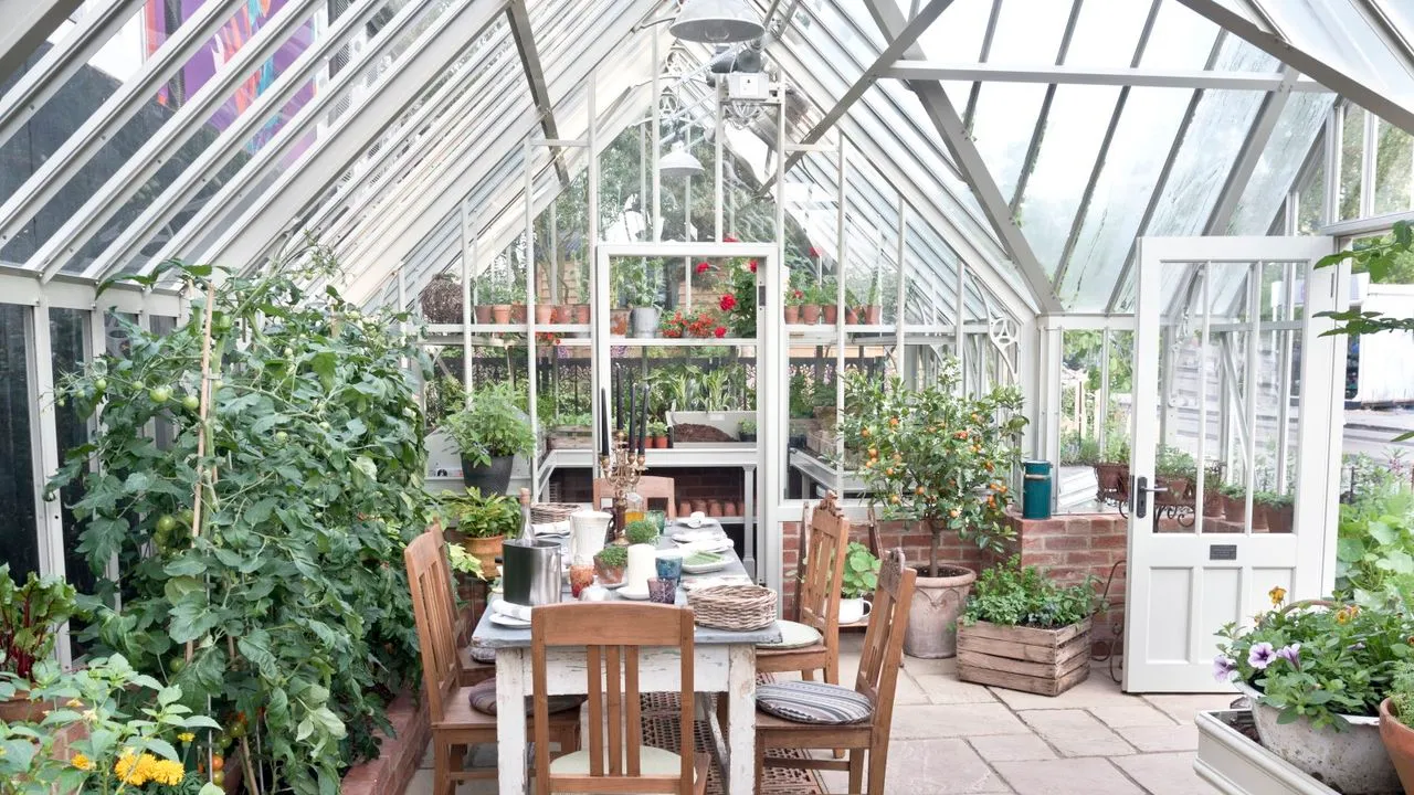 Ein großes Gewächshaus voller Pflanzenregale sowie einem Tisch und Stühlen' loading='lazy' title=