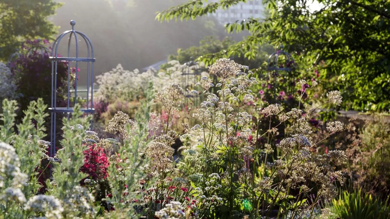 Táto 8-metrová dlhá kovová záhradná posteľ práve klesla na 110 dolárov vo Walmarte – kupujem ju teraz, aby som rozšíril svoju kvetinovú záplatu včas na jar