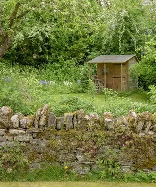 Ideas para muros de jardín de piedra seca, que se muestran cubiertas de musgo en un diseño rústico con un pequeño cobertizo de madera.