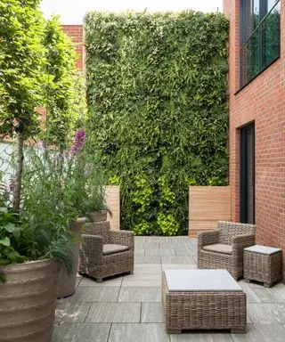 Ideas de paredes de jardín vivas en un pequeño jardín residencial con patio gris y paredes de ladrillo rojo, lleno de muebles de mimbre y macetas de gran tamaño con árboles pequeños.