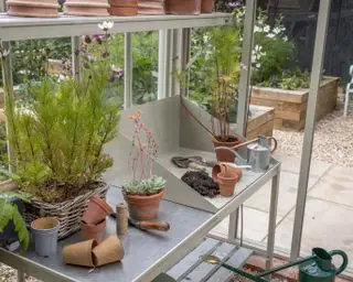 drivhushylder med værktøj og planter