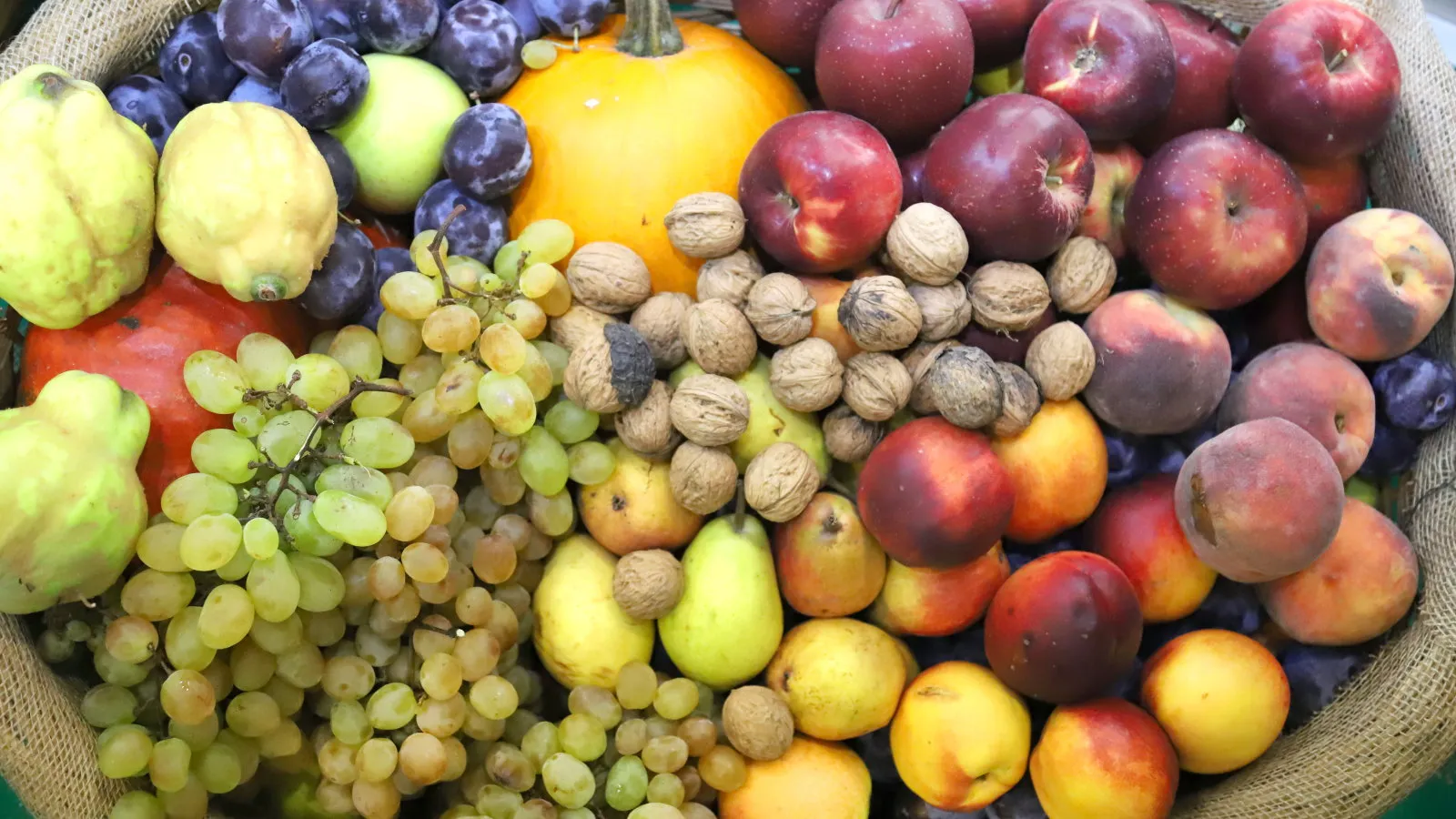 Comment savoir quand les pommes sont prêtes à choisir - les experts jurent par ces 3 signes