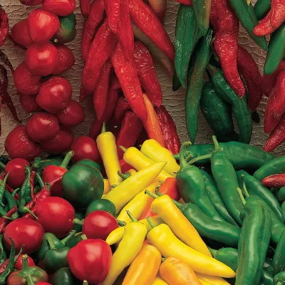 Sementes de pimenta com mistura de salsa' loading='lazy' title=