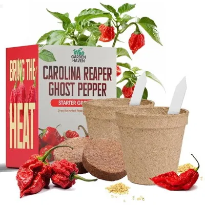 Kit de cultivo de pimenta fantasma Carolina Reaper' loading='lazy' title=