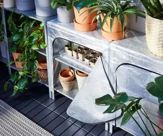DIY-Gewächshausideen – 10 budgetfreundliche Möglichkeiten, ein Gewächshaus in Ihren Garten einzubauen