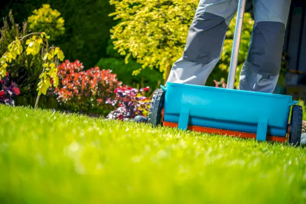 Quando fertilizar seu gramado na primavera? Especialistas em gramado compartilham seus conselhos