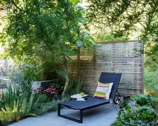Recinzione da giardino a doghe con lettino prendisole nero, alberi ed erba alta.
