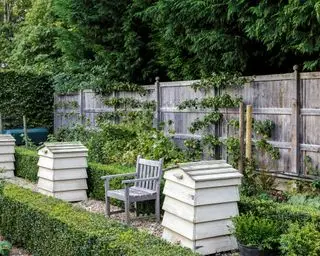 Recinzione del giardino con alveari di fronte