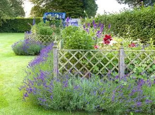 Recinzione a traliccio basso nel giardino del cottage