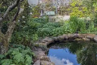 Um lago de jardim rodeado por vegetação fresca de primavera e um pátio com área de estar.