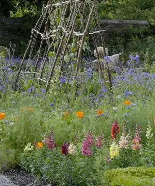Jardim georgiano em Wordsworth House com plantas ornamentais misturadas com culturas comestíveis National Trust